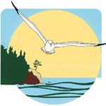 BWCA Gull