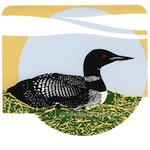 Common Loon