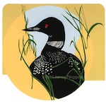Nesting Loon