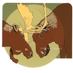 Rutting Moose