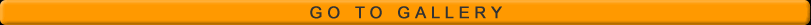 Gallery Button
